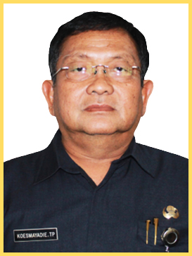 kepala dinas